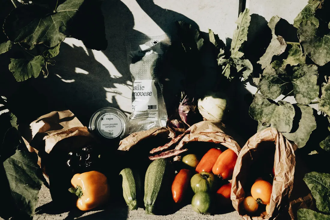 Des légumes et ingrédients pour une alimentation vivante