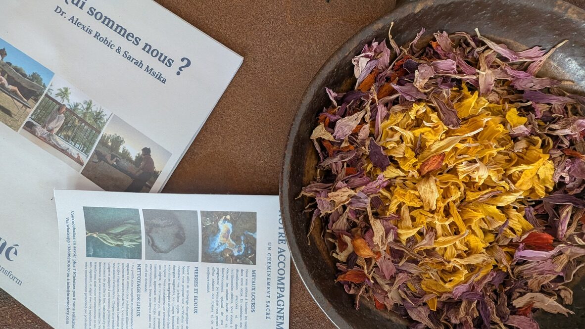 Herbes séchées et édition Inné au studio du Beausset