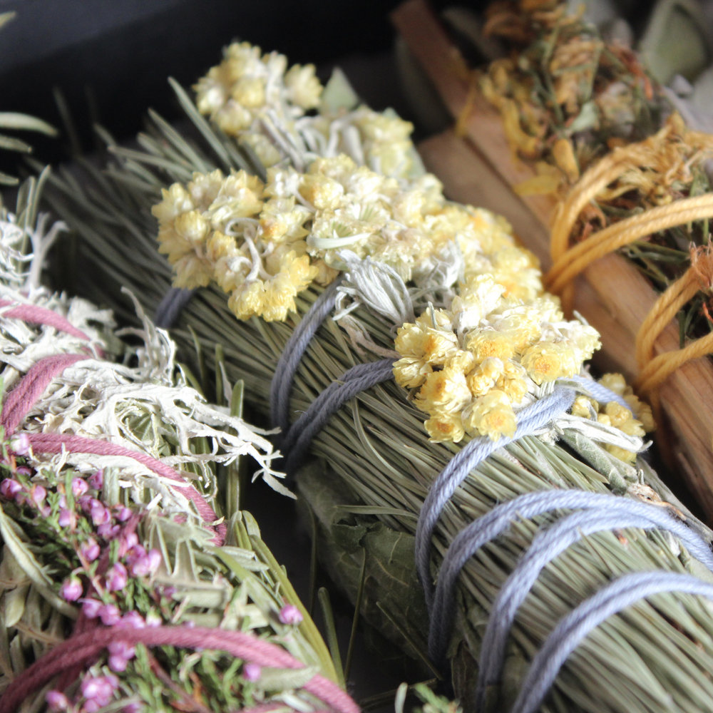 Plantes séchées de la boutique