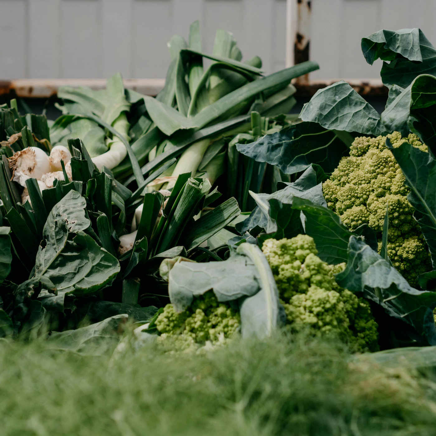 Légumes verts de la diète Inné